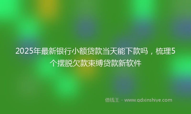 2025年最新银行小额贷款当天能下款吗，梳理5个摆脱欠款束缚贷款新软件