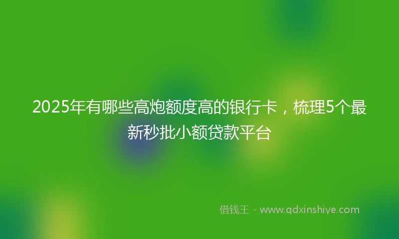 2025年有哪些高炮额度高的银行卡,梳理5个最新秒批小额贷款平台