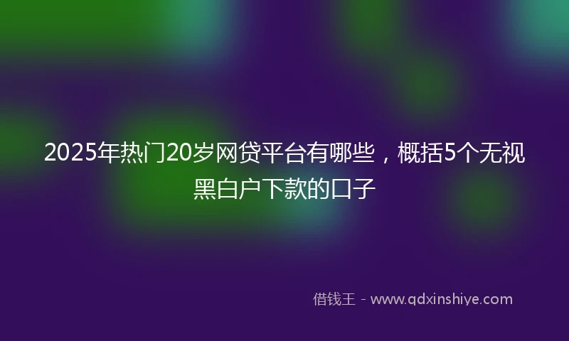 2025年热门20岁网贷平台有哪些，概括5个无视黑白户下款的口子