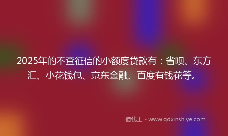 2025年的不查征信的小额度贷款有：省呗、东方汇、小花钱包、京东金融、百度有钱花等。