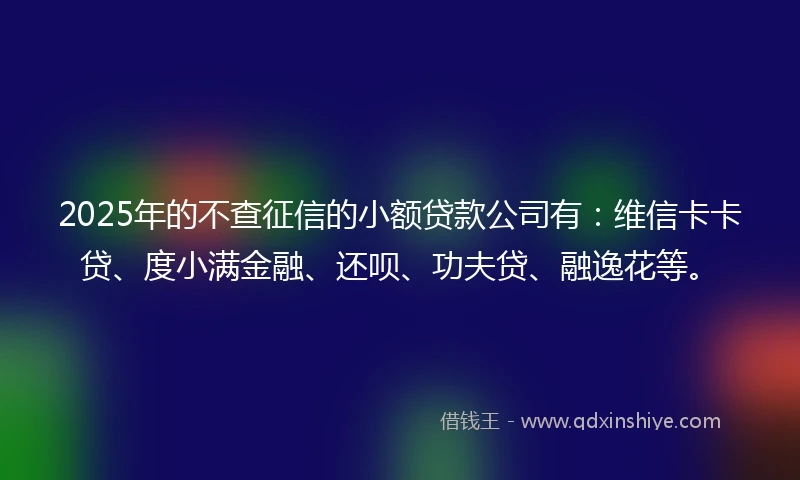 2025年的不查征信的小额贷款公司有：维信卡卡贷、度小满金融、还呗、功夫贷、融逸花等。