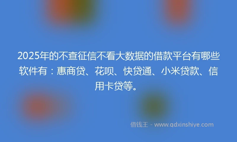 2025年的不查征信不看大数据的借款平台有哪些软件有：惠商贷、花呗、快贷通、小米贷款、信用卡贷等。