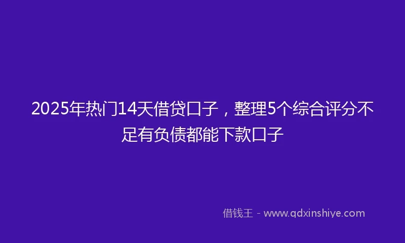 2025年热门14天借贷口子，整理5个综合评分不足有负债都能下款口子