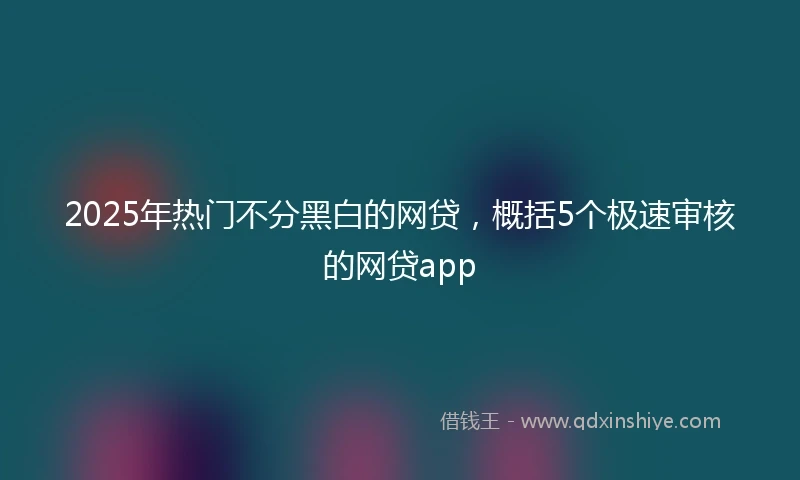2025年热门不分黑白的网贷，概括5个极速审核的网贷app