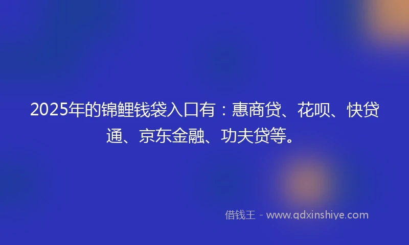 2025年的锦鲤钱袋入口有：惠商贷、花呗、快贷通、京东金融、功夫贷等。