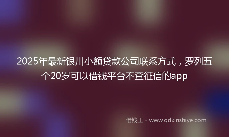 2025年最新银川小额贷款公司联系方式，罗列五个20岁可以借钱平台不查征信的app