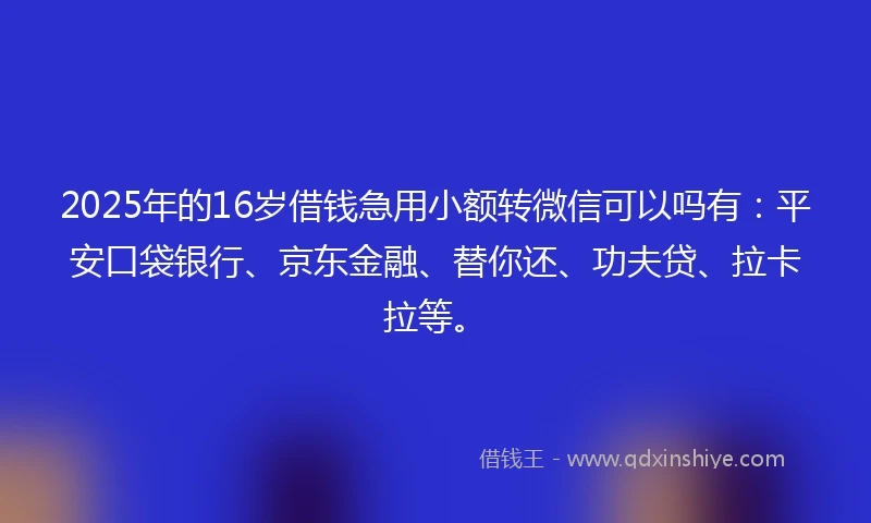 2025年的16岁借钱急用小额转微信可以吗有:平安口袋银行、京东金融、替你还、功夫贷、拉卡拉等。