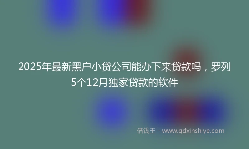 2025年最新黑户小贷公司能办下来贷款吗，罗列5个12月独家贷款的软件