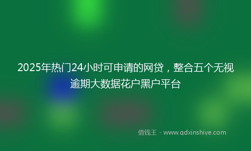 2025年热门24小时可申请的网贷，整合五个无视逾期大数据花户黑户平台