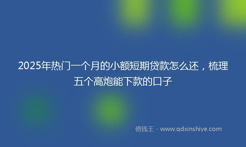 2025年热门一个月的小额短期贷款怎么还，梳理五个高炮能下款的口子