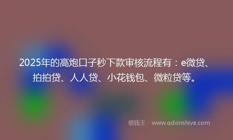 2025年的高炮口子秒下款审核流程有：e微贷、拍拍贷、人人贷、小花钱包、微粒贷等。