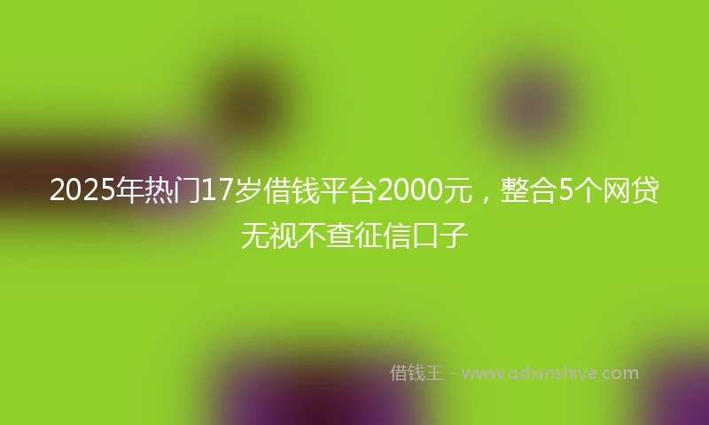 2025年热门17岁借钱平台2000元，整合5个网贷无视不查征信口子