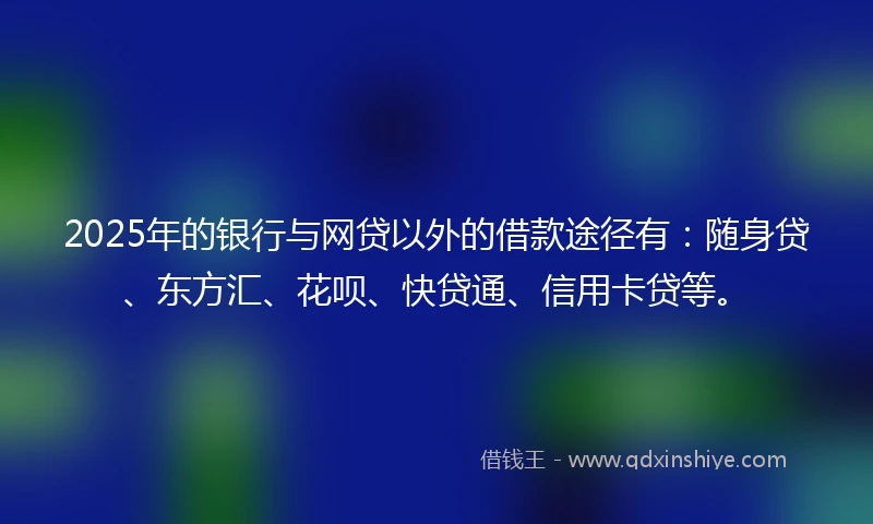 2025年的银行与网贷以外的借款途径有：随身贷、东方汇、花呗、快贷通、信用卡贷等。