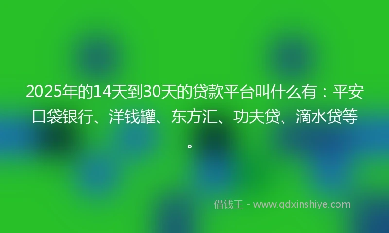 2025年的14天到30天的贷款平台叫什么有：平安口袋银行、洋钱罐、东方汇、功夫贷、滴水贷等。