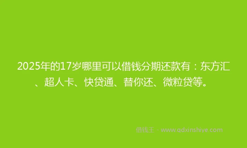 2025年的17岁哪里可以借钱分期还款有：东方汇、超人卡、快贷通、替你还、微粒贷等。