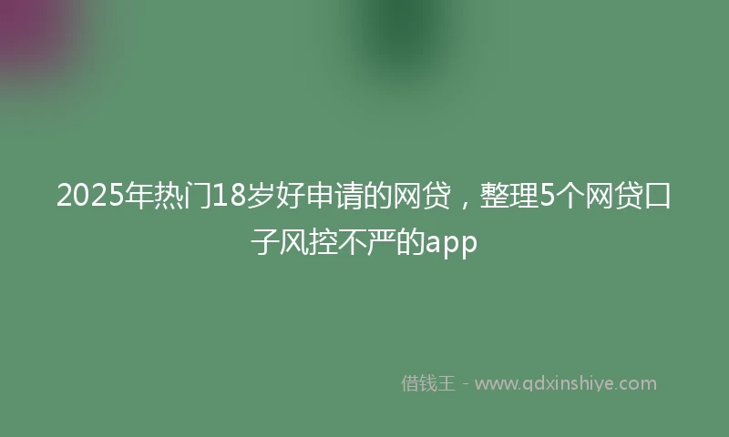 2025年热门18岁好申请的网贷，整理5个网贷口子风控不严的app