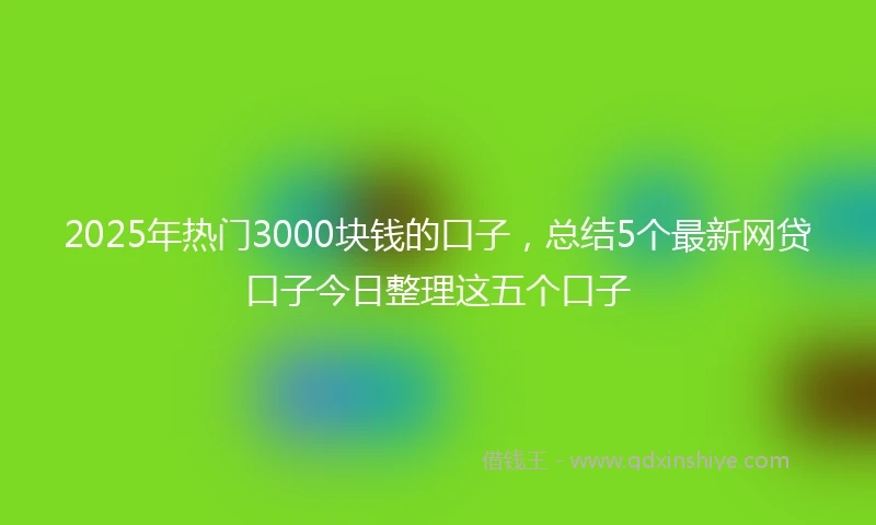 2025年热门3000块钱的口子，总结5个最新网贷口子今日整理这五个口子
