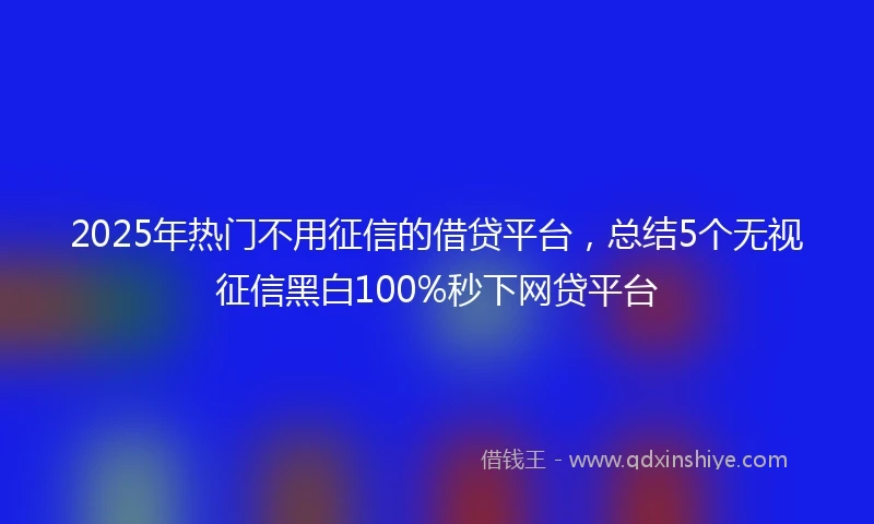 2025年热门不用征信的借贷平台，总结5个无视征信黑白100%秒下网贷平台