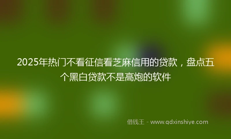 2025年热门不看征信看芝麻信用的贷款，盘点五个黑白贷款不是高炮的软件
