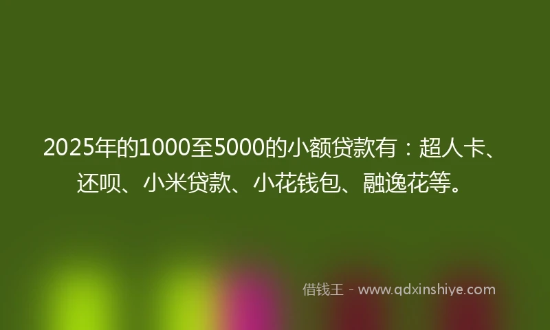 2025年的1000至5000的小额贷款有：超人卡、还呗、小米贷款、小花钱包、融逸花等。