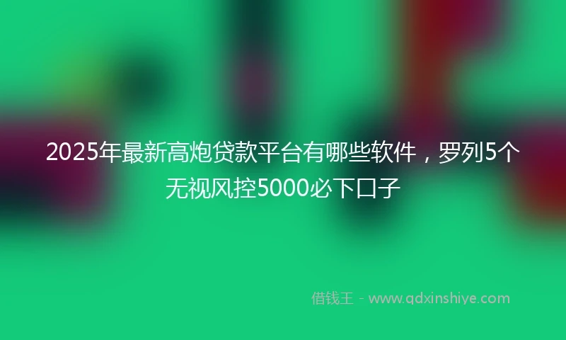 2025年最新高炮贷款平台有哪些软件，罗列5个无视风控5000必下口子