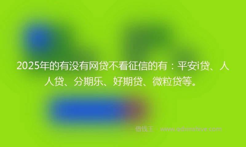 2025年的有没有网贷不看征信的有：平安i贷、人人贷、分期乐、好期贷、微粒贷等。