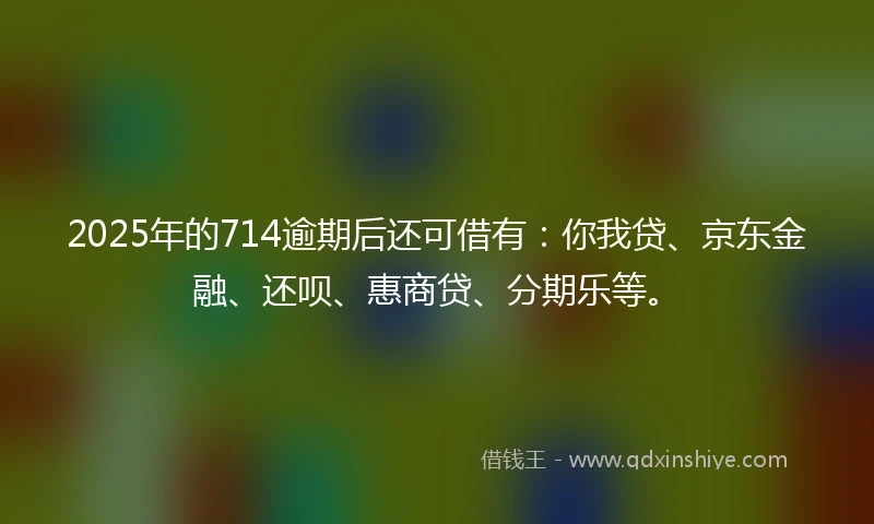2025年的714逾期后还可借有:你我贷、京东金融、还呗、惠商贷、分期乐等。