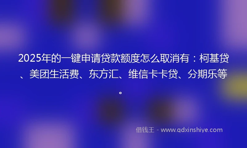 2025年的一键申请贷款额度怎么取消有:柯基贷、美团生活费、东方汇、维信卡卡贷、分期乐等。
