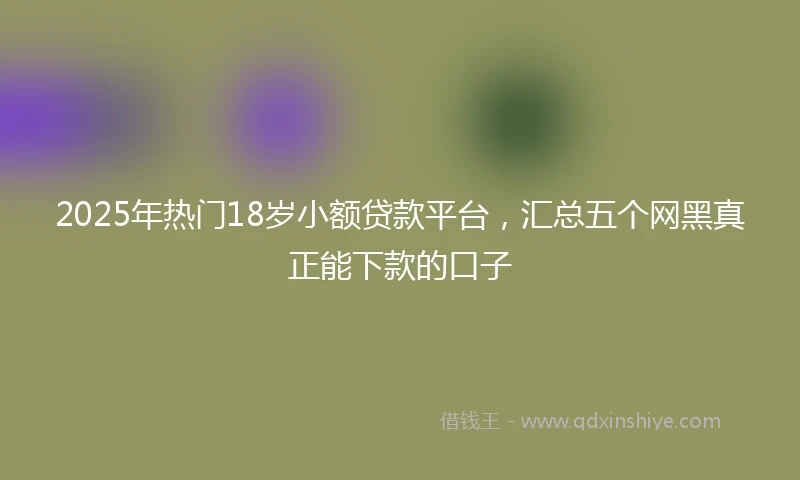 2025年热门18岁小额贷款平台，汇总五个网黑真正能下款的口子