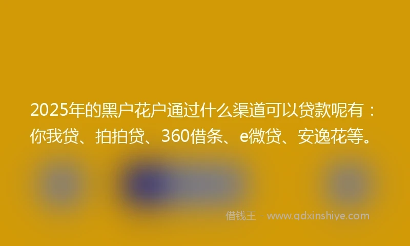 2025年的黑户花户通过什么渠道可以贷款呢有：你我贷、拍拍贷、360借条、e微贷、安逸花等。