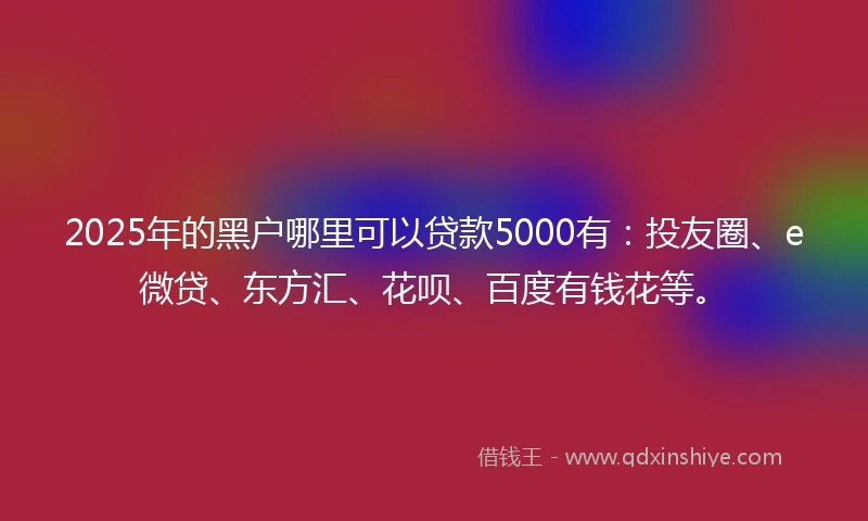 2025年的黑户哪里可以贷款5000有：投友圈、e微贷、东方汇、花呗、百度有钱花等。