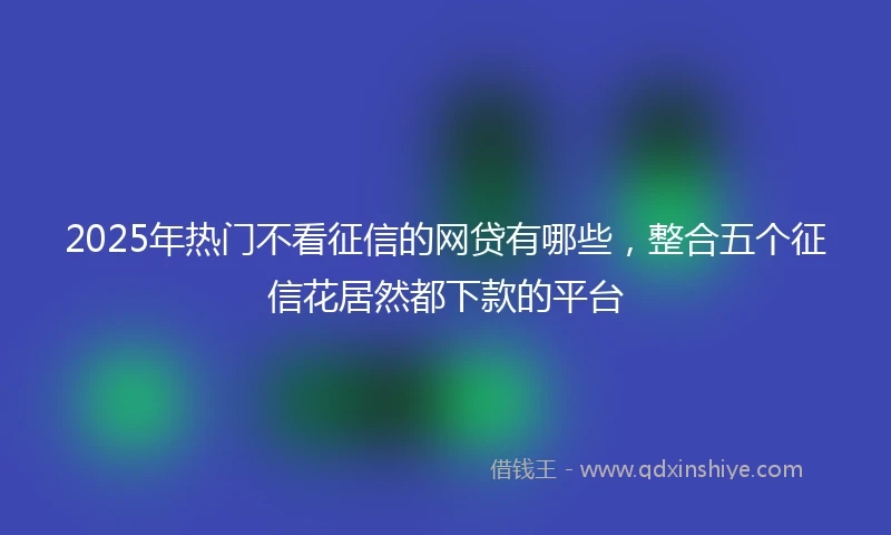 2025年热门不看征信的网贷有哪些，整合五个征信花居然都下款的平台