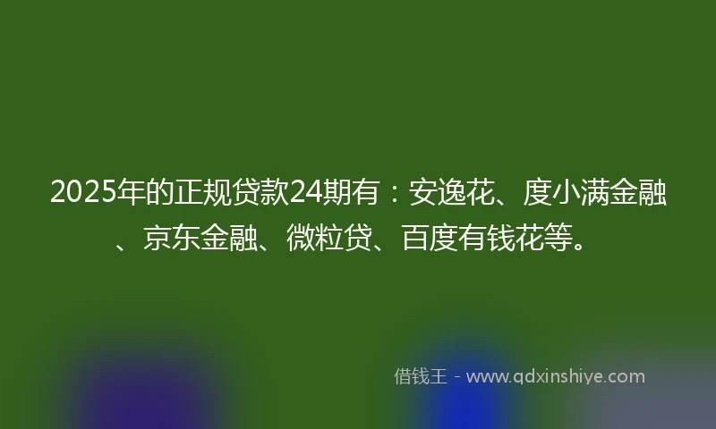2025年的正规贷款24期有：安逸花、度小满金融、京东金融、微粒贷、百度有钱花等。