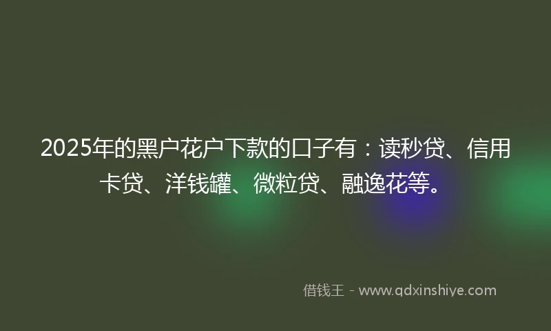 2025年的黑户花户下款的口子有：读秒贷、信用卡贷、洋钱罐、微粒贷、融逸花等。