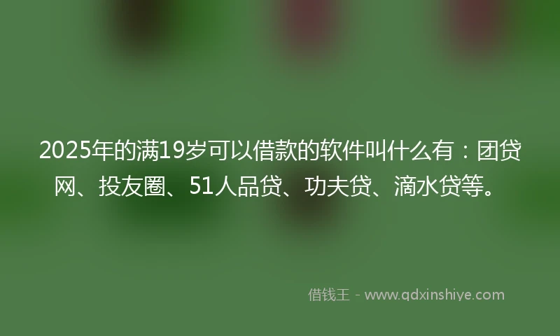 2025年的满19岁可以借款的软件叫什么有：团贷网、投友圈、51人品贷、功夫贷、滴水贷等。