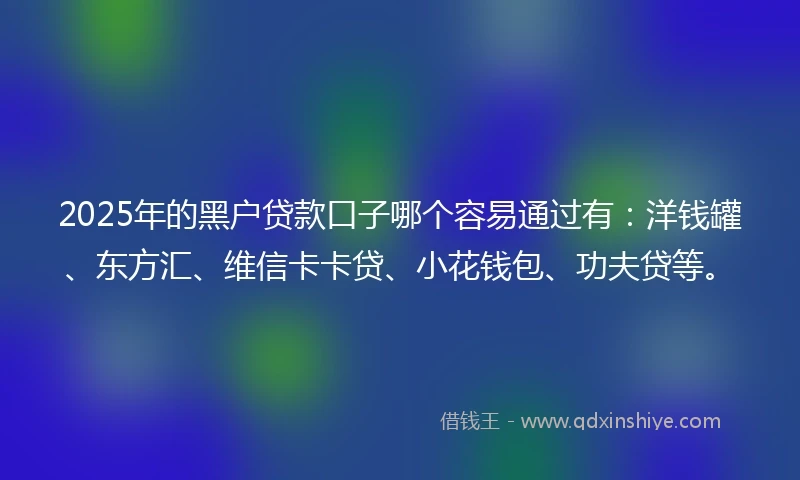 2025年的黑户贷款口子哪个容易通过有：洋钱罐、东方汇、维信卡卡贷、小花钱包、功夫贷等。