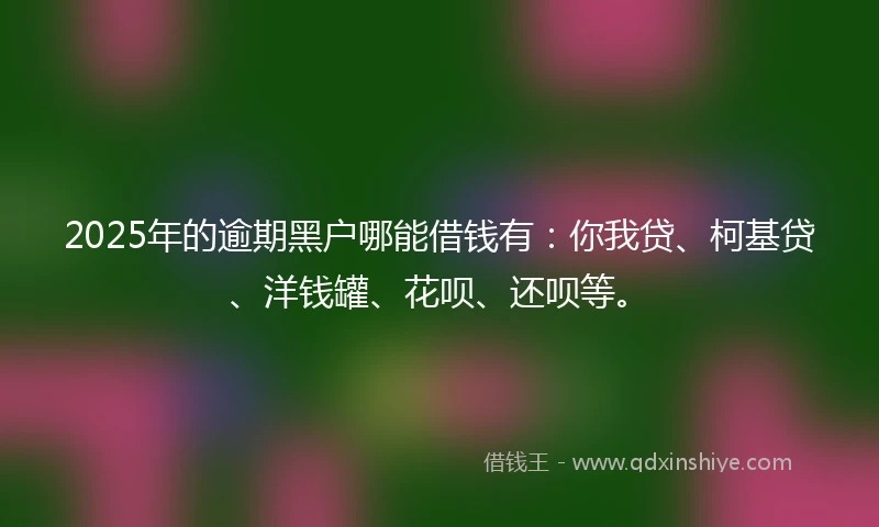 2025年的逾期黑户哪能借钱有：你我贷、柯基贷、洋钱罐、花呗、还呗等。
