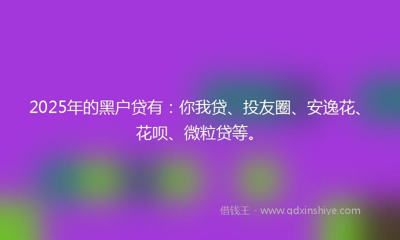 2025年的黑户贷有:你我贷、投友圈、安逸花、花呗、微粒贷等。
