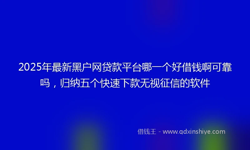 2025年最新黑户网贷款平台哪一个好借钱啊可靠吗，归纳五个快速下款无视征信的软件