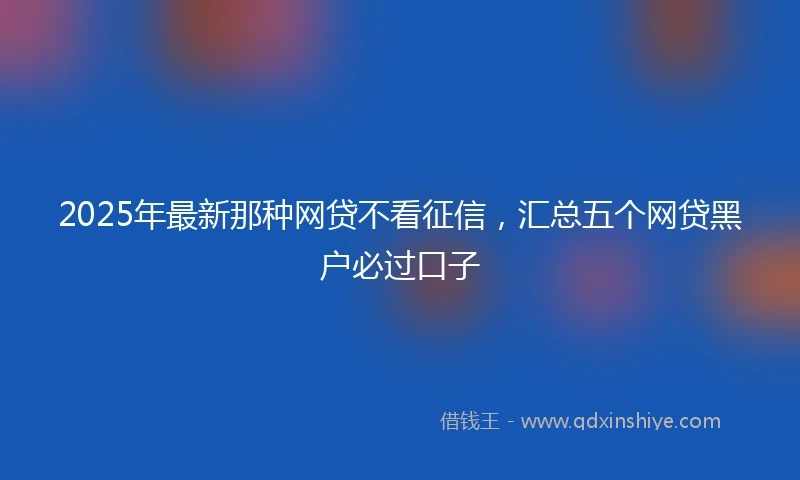 2025年最新那种网贷不看征信,汇总五个网贷黑户必过口子