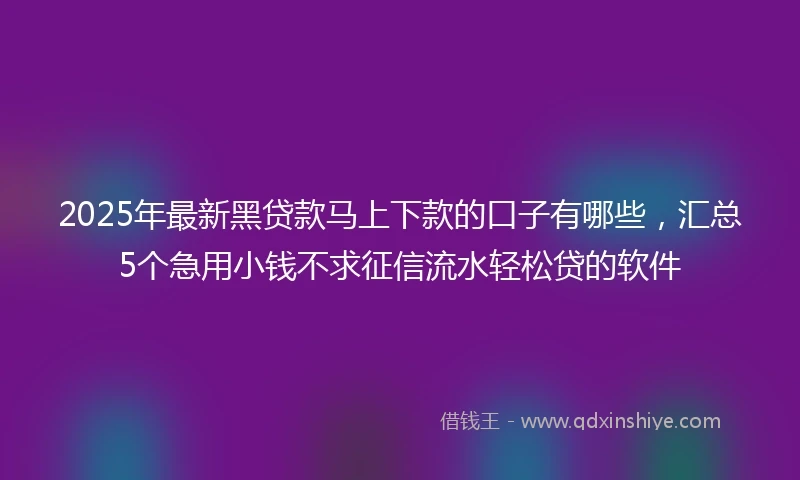 2025年最新黑贷款马上下款的口子有哪些，汇总5个急用小钱不求征信流水轻松贷的软件