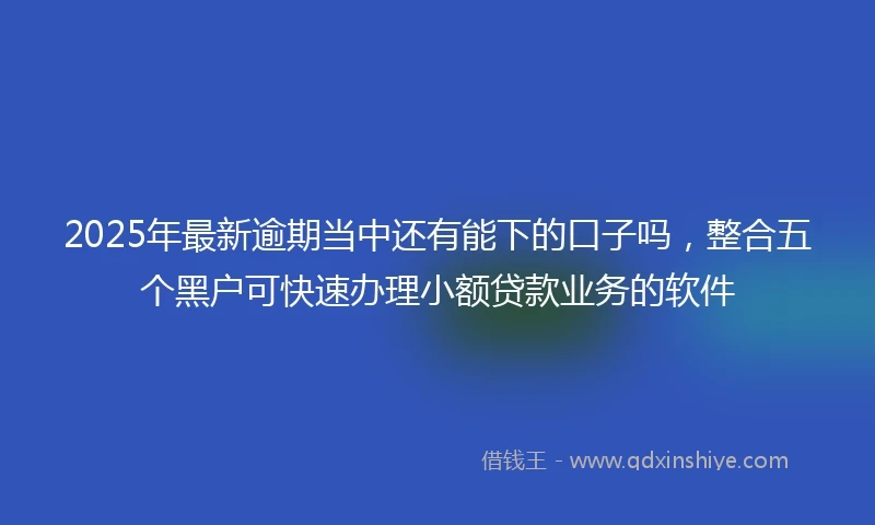 2025年最新逾期当中还有能下的口子吗,整合五个黑户可快速办理小额贷款业务的软件
