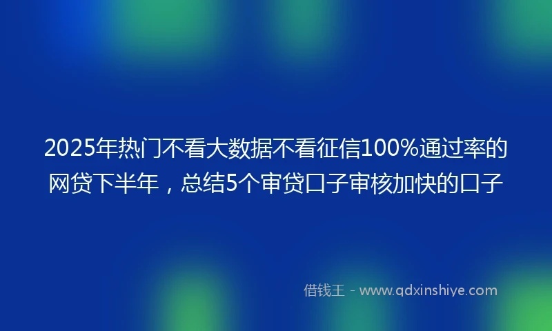 2025年热门不看大数据不看征信100%通过率的网贷下半年,总结5个审贷口子审核加快的口子