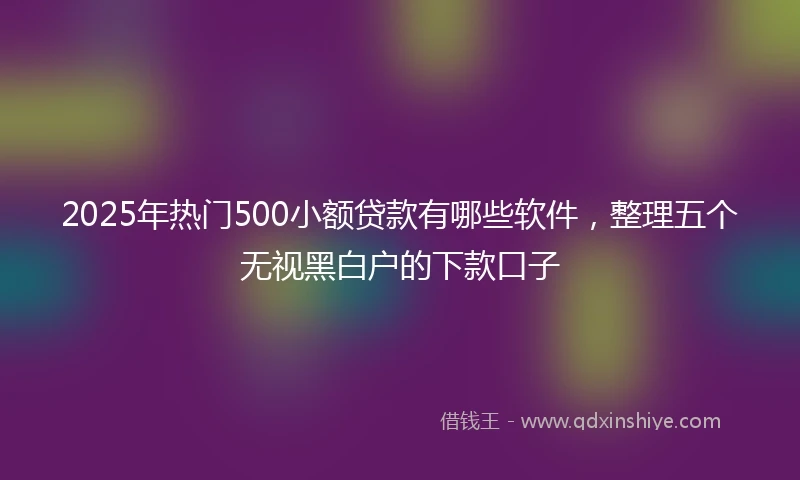 2025年热门500小额贷款有哪些软件，整理五个无视黑白户的下款口子