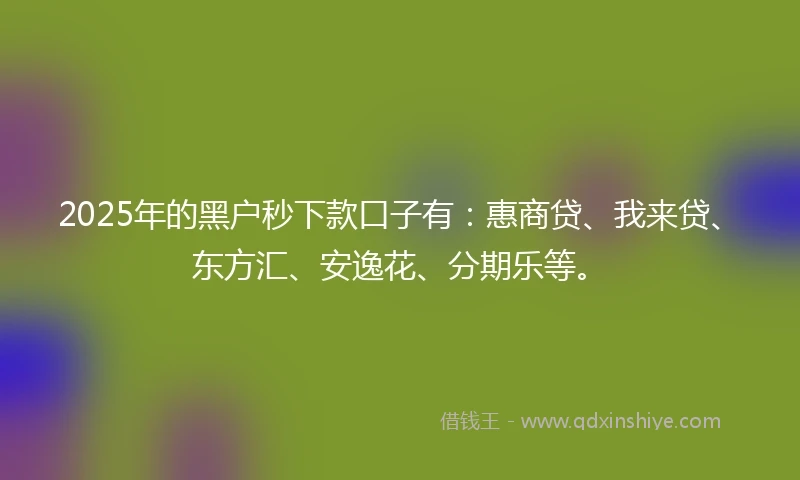 2025年的黑户秒下款口子有：惠商贷、我来贷、东方汇、安逸花、分期乐等。