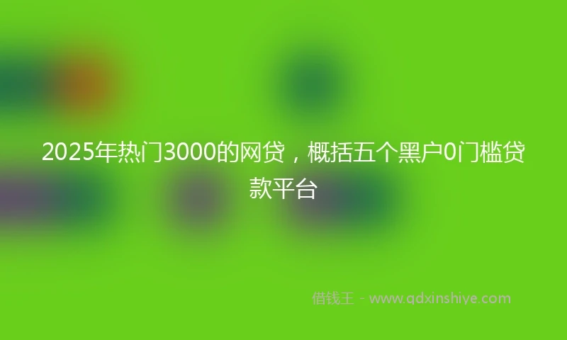 2025年热门3000的网贷,概括五个黑户0门槛贷款平台