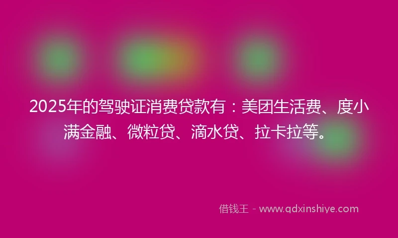 2025年的驾驶证消费贷款有：美团生活费、度小满金融、微粒贷、滴水贷、拉卡拉等。
