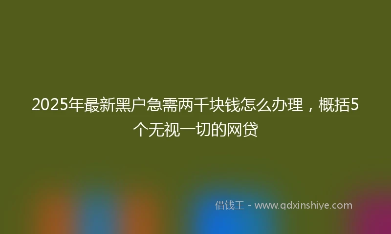 2025年最新黑户急需两千块钱怎么办理，概括5个无视一切的网贷