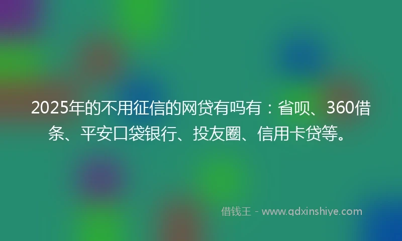 2025年的不用征信的网贷有吗有：省呗、360借条、平安口袋银行、投友圈、信用卡贷等。