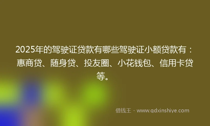 2025年的驾驶证贷款有哪些驾驶证小额贷款有：惠商贷、随身贷、投友圈、小花钱包、信用卡贷等。